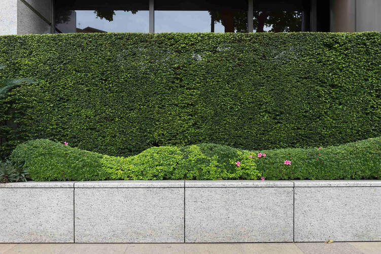 Our client wanted to make sure her greenery stayed in place and we recommended a concrete retaining wall. The finish ended up looking exquisite and matched the modern exterior perfectly.